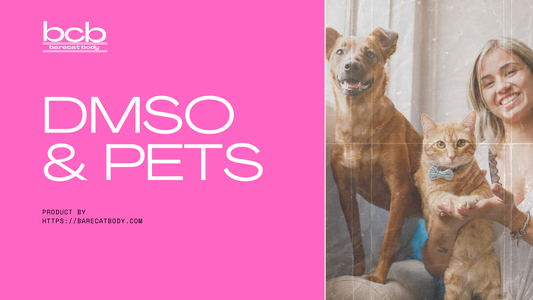DMSO and Pets: How It Can Safely Heal Your Furry Friends