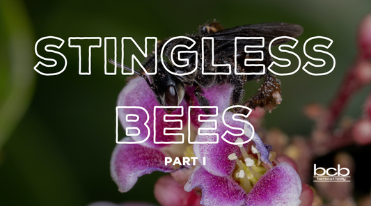 Part 1 of 3: Origins and Diversity of Stingless Bees