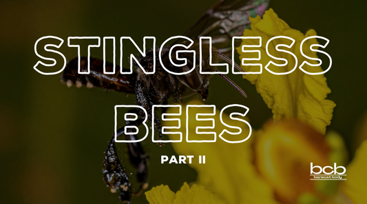 Part 2 f 3: Benefits of Stingless Bee Honey: Nutritional and Medicinal Properties