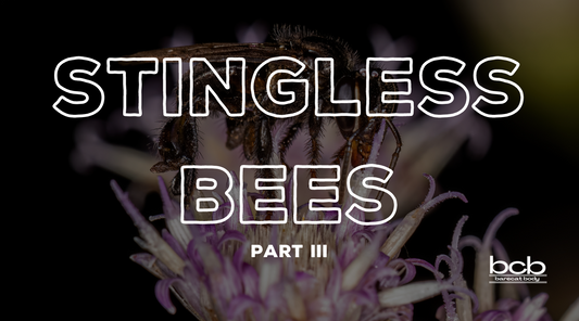 Part 3 of 3: Regional Variations and Cultural Significance of Stingless Bee Honey