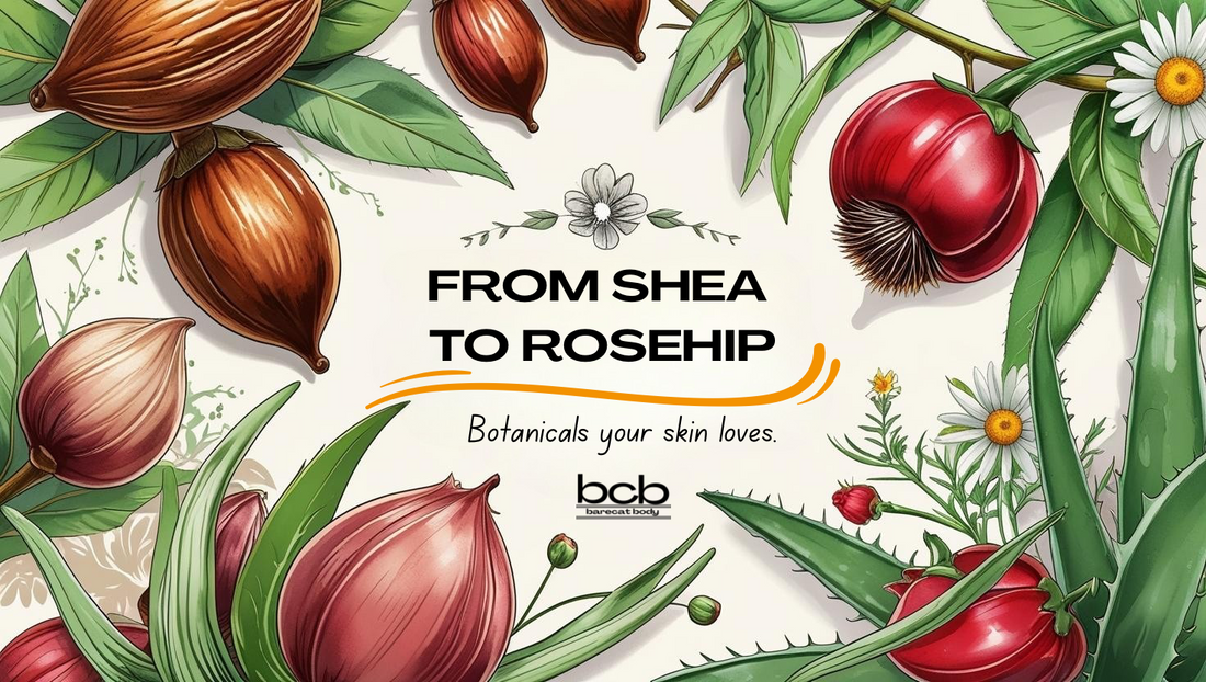 From Shea to Rosehip: The Botanical Story Behind Our Best Sellers