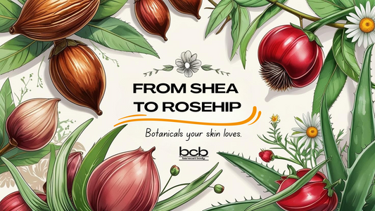 From Shea to Rosehip: The Botanical Story Behind Our Best Sellers