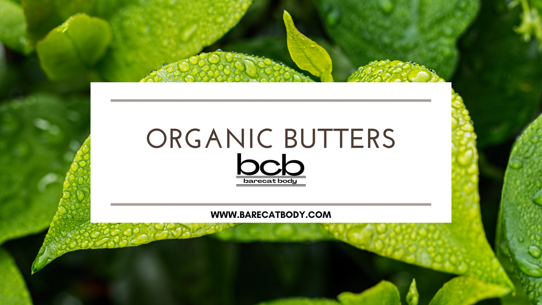 Transform Your Skincare Routine with Organic Butters: A Deep Dive