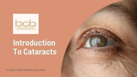 Introduction to Cataracts: Causes, Symptoms, and Treatment