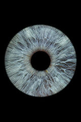 SS-31 (Elamipretide) and Eye Health: Mechanism, Clinical Trial Data, DMSO Delivery, and Real-World Use